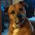 Sara Ann's profile image