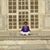 Denise LaFrance Sullivan's profile image