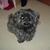 Kandace K Owen's profile image