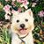 Denise Marks's profile image