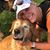 Tina Ryan's profile image