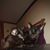 Jennifer Crandall's profile image