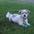 Mary Moul's profile image