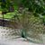 Becky Dillard Barbara's profile image