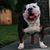 Devon Montrell Malloy's profile image