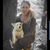 Jennifer Clifford Clark's profile image