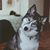 Martha Fischbach's profile image