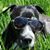 Linda M. Fox's profile image