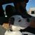 Max VanMeter's profile image