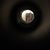 Charlotte Engelman's profile image