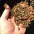 Stump CRa's profile image