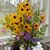 Joyce Martin-Sullivan's profile image