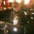 Gregarious T. Cline's profile image