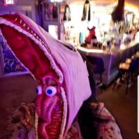 Natasha Nigh's profile image