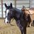 Charlene Link's profile image