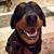 Wade Burghardt Culp's profile image