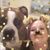Lisa Dixon Usher's profile image