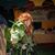 Laurie Shipley's profile image