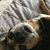 Lori G. Davis's profile image