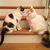 Susan Page's profile image