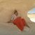 Nadiya Anthea Tsebro's profile image
