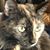 Michelle Coleman's profile image