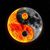 Kerry Webb's profile image