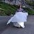 Lindsay Brake's profile image