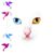 Sabra Klemetsrud's profile image