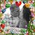 Wendy Michelle Cunningham's profile image