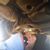 Suzanne Byrne's profile image