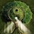 Tena Schumacher's profile image