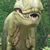 Skippy McCommon's profile image