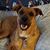 Shayla Larson's profile image