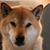 Nick Ryder's profile image