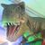 Glenn Gibbons's profile image
