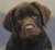 Frank P.'s profile image