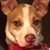 Dale Horton Sullivan's profile image