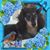 Nichola B Woofenhowse's profile image