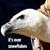 Joan Gabrielle Moi's profile image