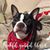 Gale Sapp Minks's profile image