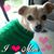 Jacquita Chi-TownFinezt Mayes's profile image