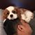 Biplab Chaudhuri's profile image