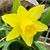 Suzette Bostaph's profile image