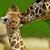 J.W. DeLong's profile image