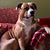Misty Dennie's profile image