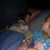 Tracy Amadori's profile image