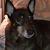 Ilene Sharon Koniak's profile image