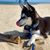 Mary Ann Moretti's profile image
