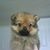 Darrell McElrath's profile image